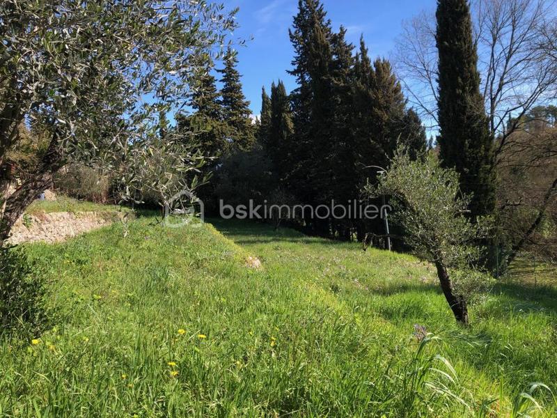 Terrain constructible - 1 066 m²