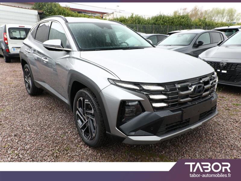 Hyundai Tucson 215 4wd Matrix Hud Krell Acc 19p