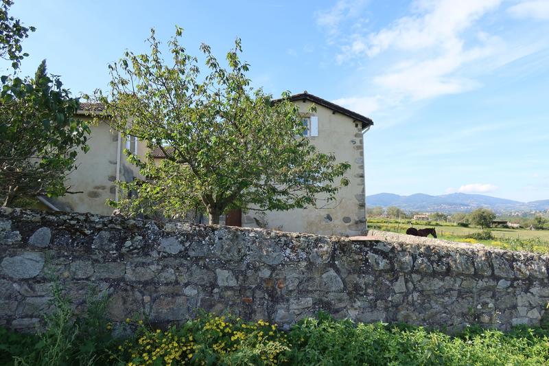 Ferme - 480 m² - 11 pièces