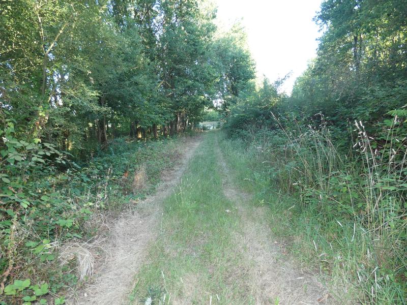 Terrain de loisirs - 11 460 m²