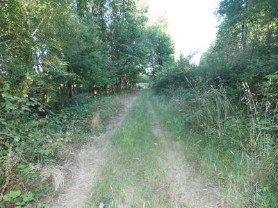 Terrain de loisirs - 11 460 m²