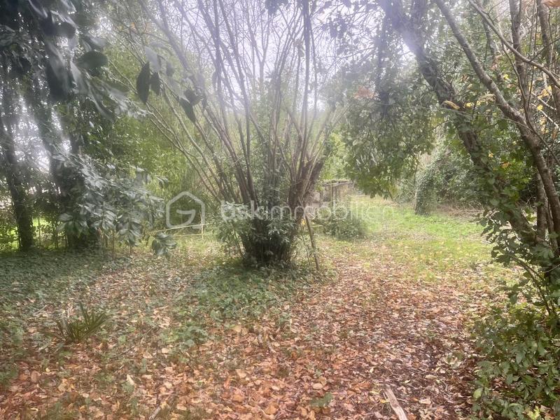 Maison ancienne - 103 m² - 6 pièces