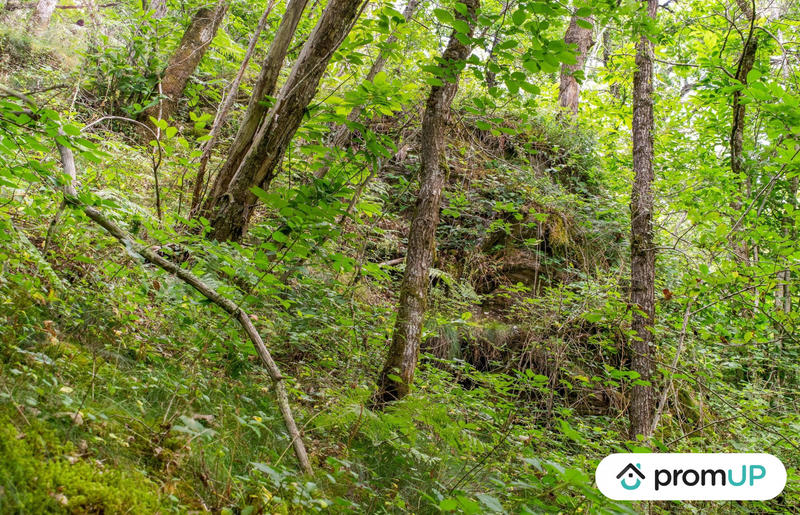 Terrain de loisirs - 5 300 m²