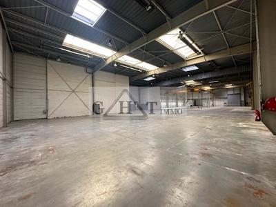 Entrepôt - 2 816 m²