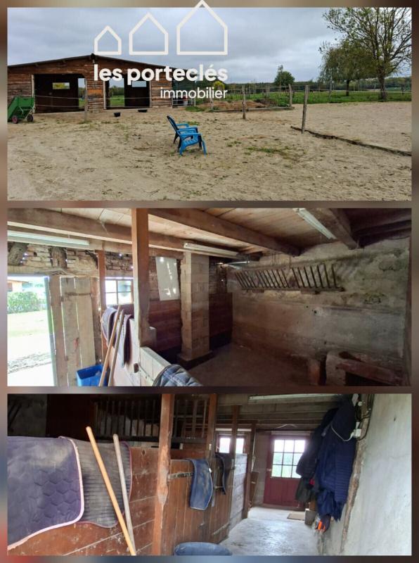 Maison de domaine équestre - 159 m² - 5 pièces