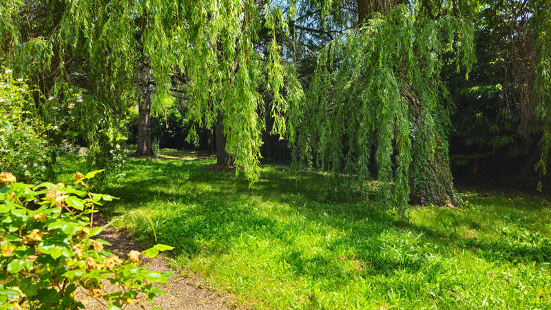 Demeure - 194 m² - 7 pièces