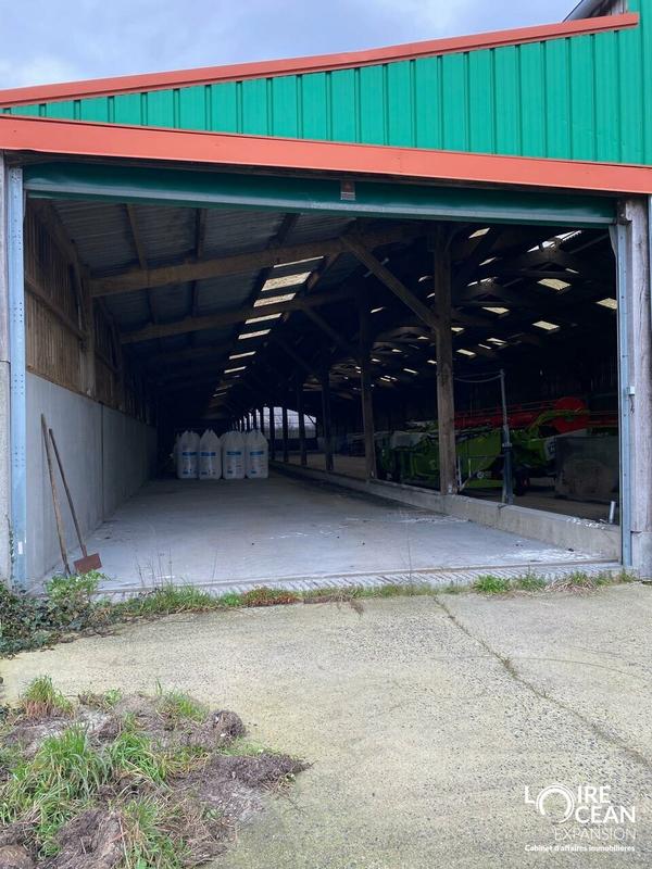 Entrepôt - 3 600 m²