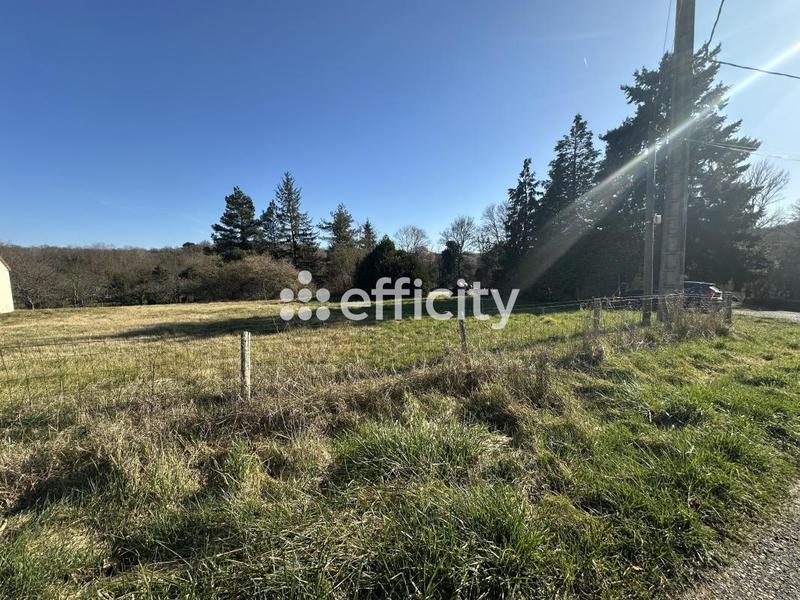 Maison - 380 m² - 14 pièces