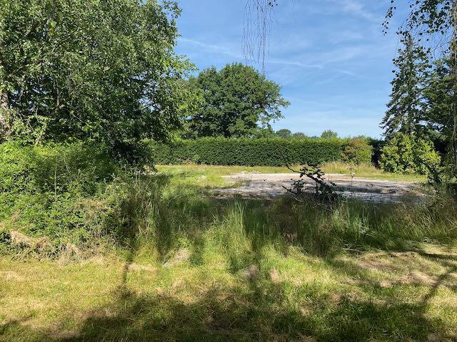 Terrain de loisirs - 4 917 m²