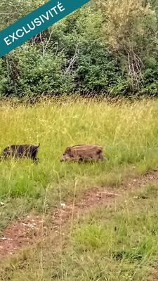 Terrain - 697 767 m²