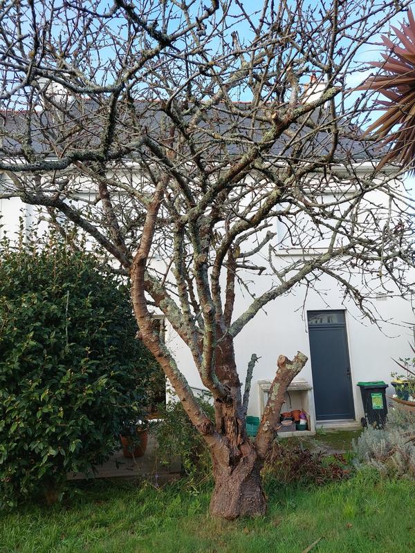 Maison - 103 m² - 6 pièces