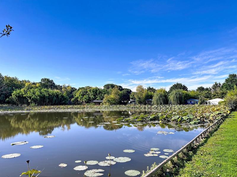 Maison - 44 m² - 3 pièces