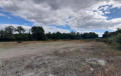 Local d'activités - 800 m²