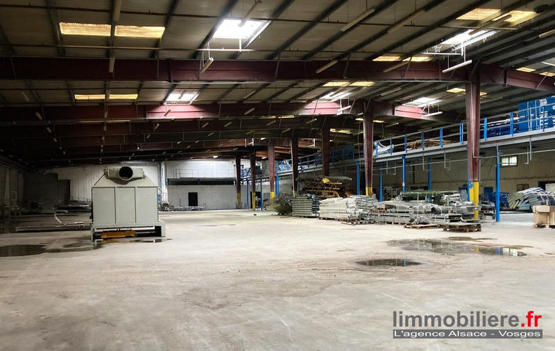 Entrepôt - 7 176 m²
