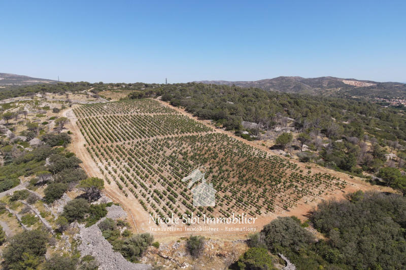 Terrain agricole - 30 000 m²