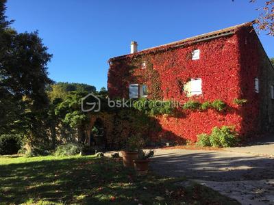 Propriété - 500 m² - 23 pièces