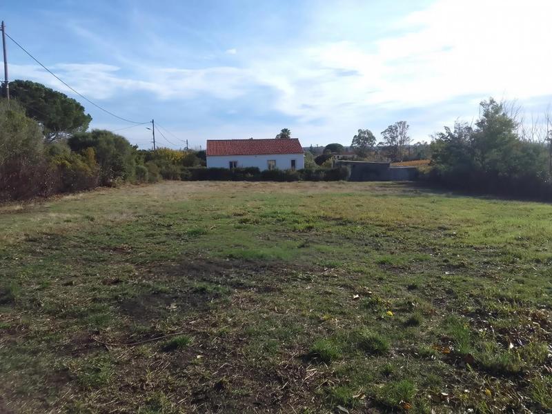 Terrain constructible - 1 037 m²