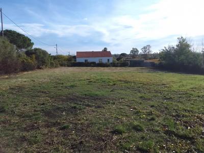 Terrain constructible - 1 037 m²