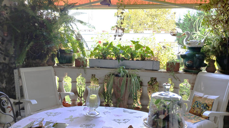 Viager - Appartement - 105 m² - 4 pièces