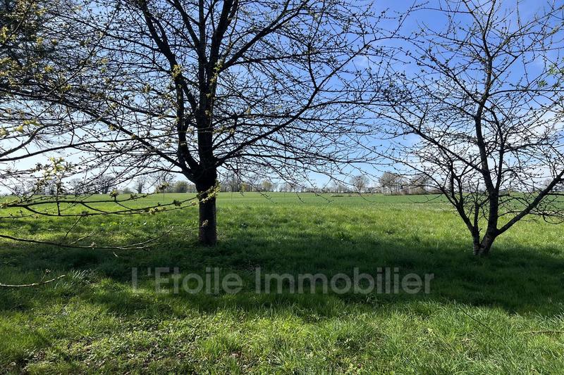 Maison - 67 m² - 3 pièces