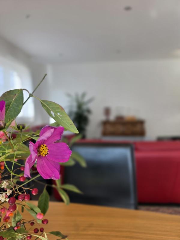 Maison contemporaine - 102 m² - 5 pièces