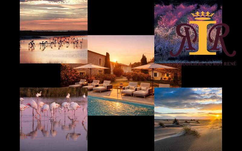 Mas - 750 m² - 40 pièces