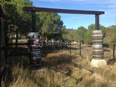 Terrain agricole - 6 375 m²