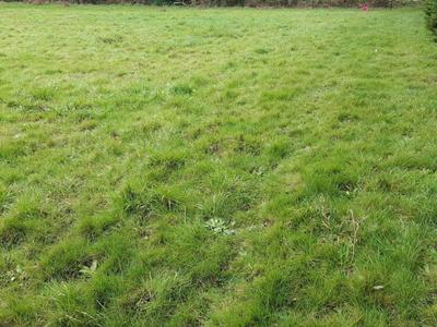 Terrain constructible - 717 m²