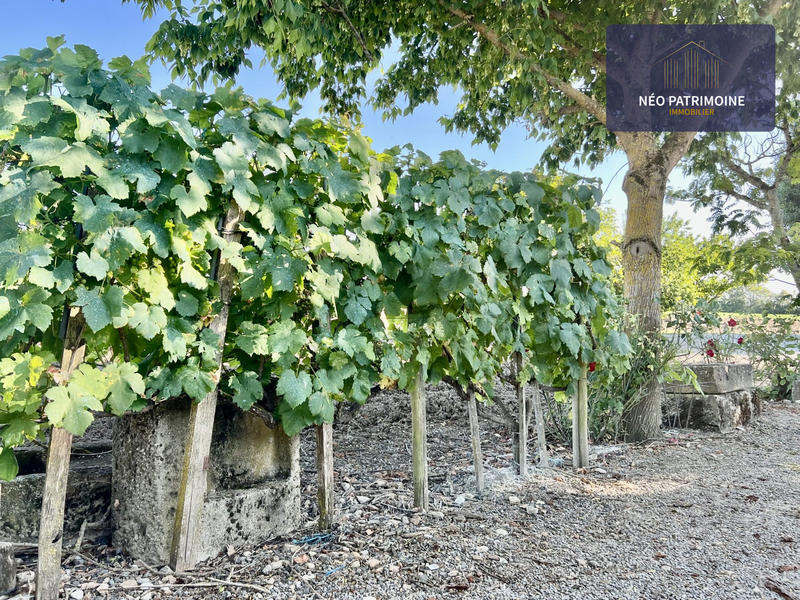 Maison ancienne - 166 m² - 5 pièces