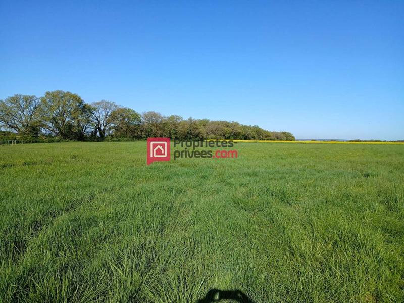 Maison - 190 m² - 5 pièces