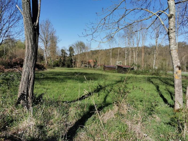 Maison de domaine équestre - 425 m² - 12 pièces