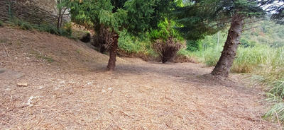 Maison - 65 m² - 4 pièces