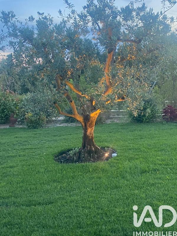 Maison de maîtres - 175 m² - 4 pièces