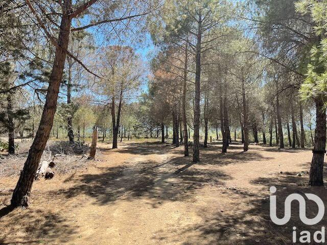 Terrain - 13 930 m²