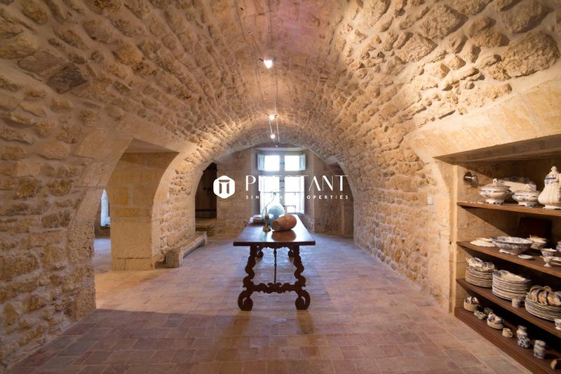 Château - 514 m² - 11 pièces