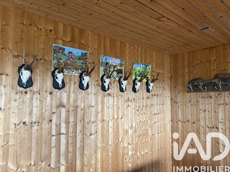 Terrain - 991 703 m²