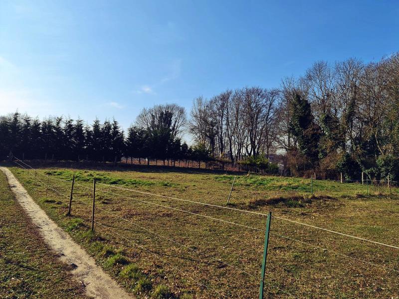 Terrain - 1 042 m²