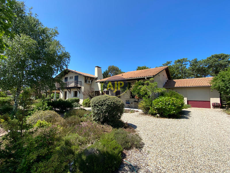 Villa - 250 m² - 11 pièces