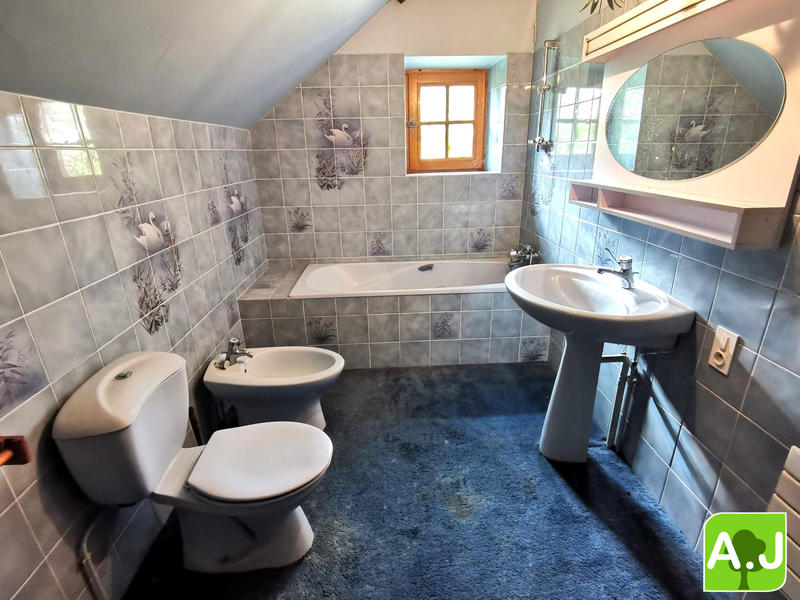 Maison ancienne - 332 m² - 9 pièces