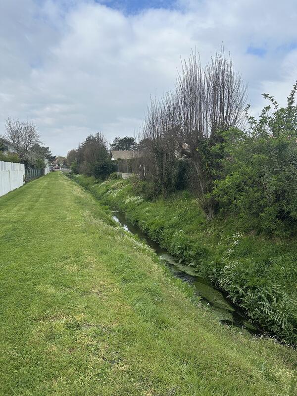 Maison ancienne - 400 m² - 10 pièces