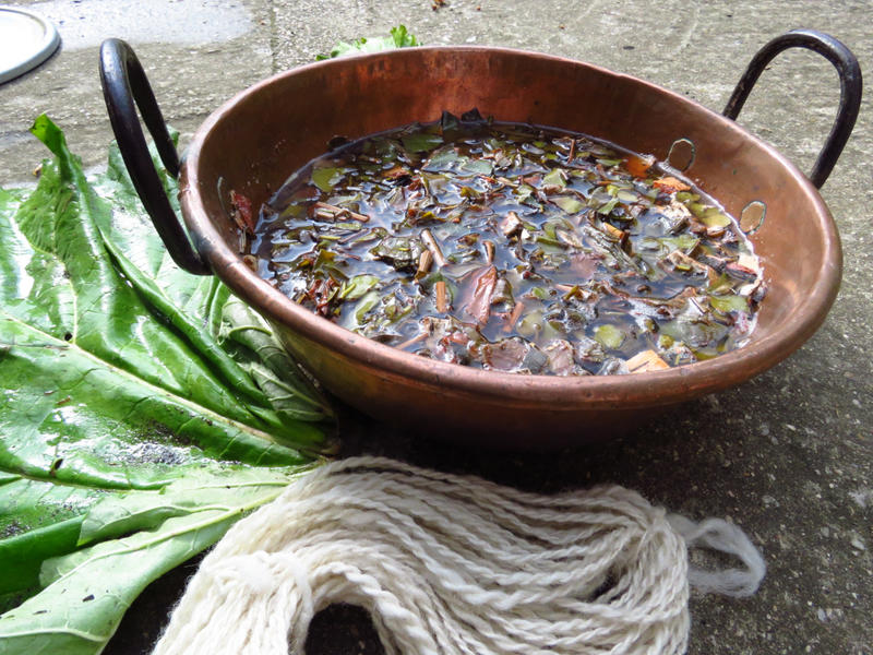 Stage de teintures végétales solaires