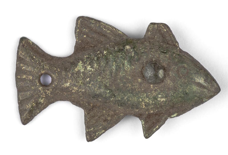 Visite flash spécial poisson d'avril !