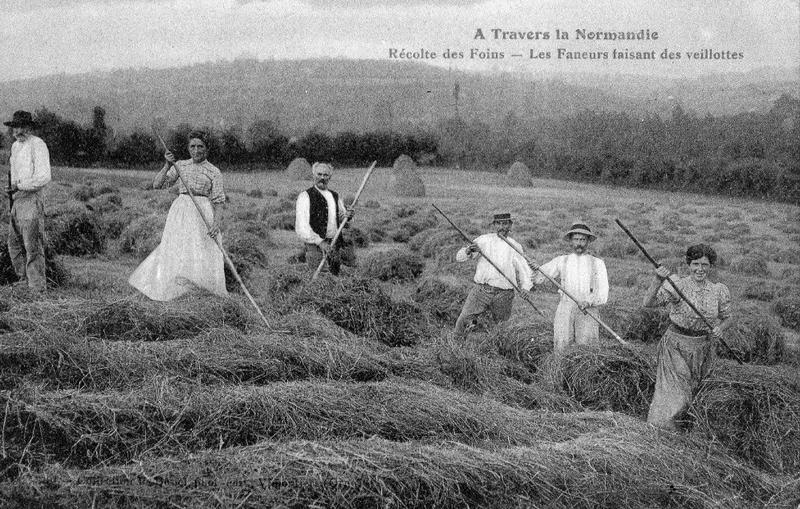 Les conférences d’histoire locale, la vie dans nos campagnes du Cotentin 5/5 : "Foins et moissons"