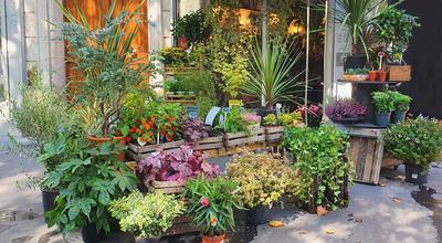 Fonds de commerce - Magasins - 39 m²