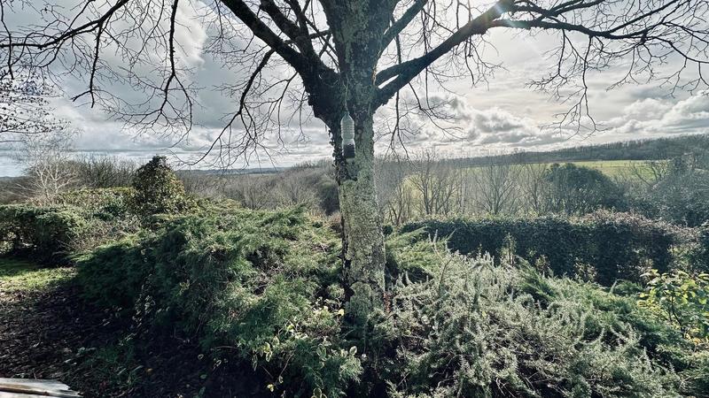 Viager - Maison - 100 m² - 5 pièces