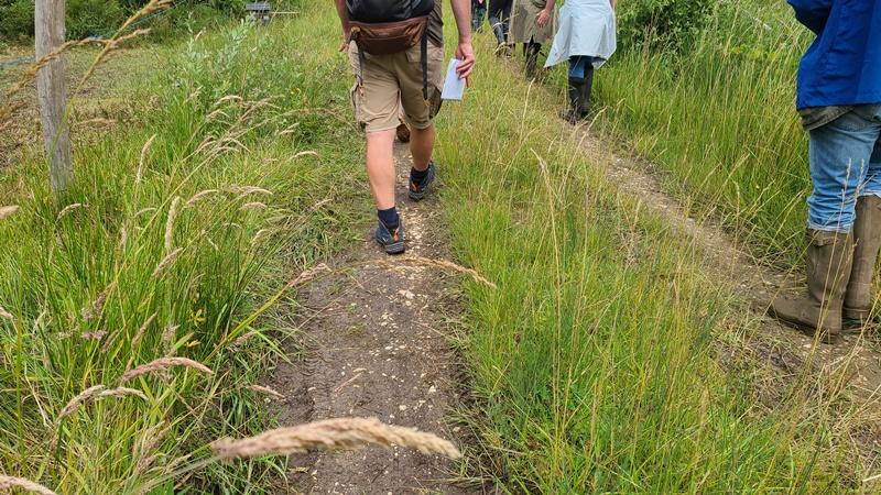 Randonnée Tous au sport