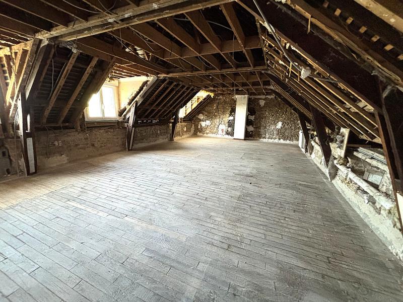 Maison ancienne - 458 m² - 11 pièces