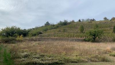 Terrain constructible - 1 070 m²