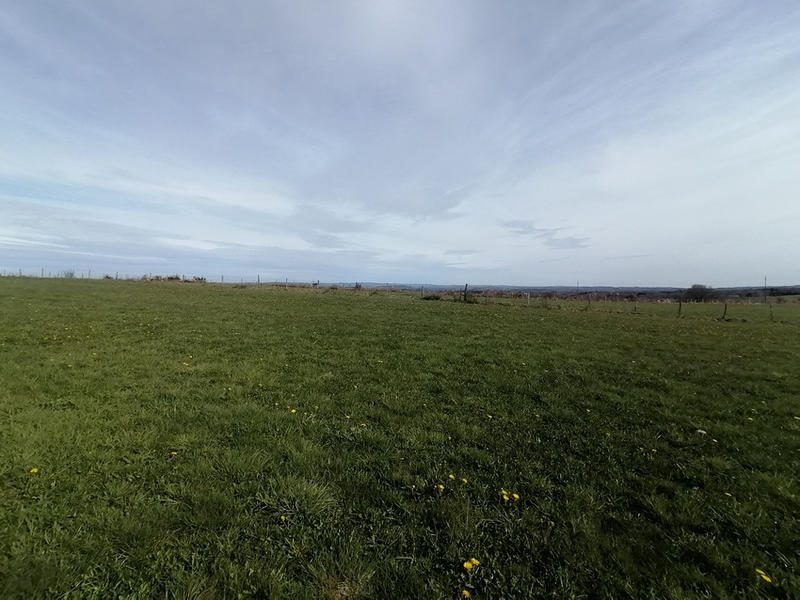 Terrain - 11 117 m²