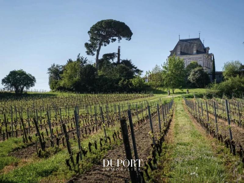 Propriété viticole - 366 m² - 10 pièces